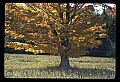 02113-00066-Canaan Valley State Park.jpg