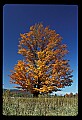02113-00070-Canaan Valley State Park.jpg