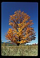 02113-00071-Canaan Valley State Park.jpg