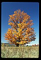 02113-00072-Canaan Valley State Park.jpg