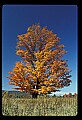 02113-00074-Canaan Valley State Park.jpg