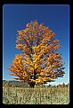 02113-00075-Canaan Valley State Park.jpg
