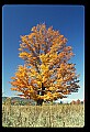 02113-00076-Canaan Valley State Park.jpg