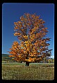 02113-00077-Canaan Valley State Park.jpg