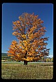 02113-00078-Canaan Valley State Park.jpg