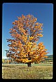 02113-00079-Canaan Valley State Park.jpg