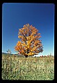 02113-00080-Canaan Valley State Park.jpg