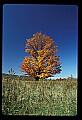 02113-00081-Canaan Valley State Park.jpg