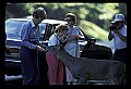 02113-00085-Canaan Valley State Park.jpg