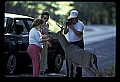 02113-00086-Canaan Valley State Park.jpg