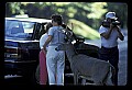 02113-00088-Canaan Valley State Park.jpg