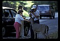 02113-00090-Canaan Valley State Park.jpg