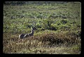 02113-00094-Canaan Valley State Park.jpg