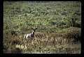 02113-00095-Canaan Valley State Park.jpg