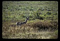 02113-00096-Canaan Valley State Park.jpg