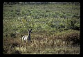 02113-00098-Canaan Valley State Park.jpg