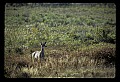 02113-00098-Canaan Valley State Park.jpg