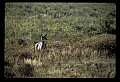 02113-00100-Canaan Valley State Park.jpg