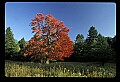 02113-00105-Canaan Valley State Park.jpg