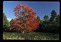 02113-00106-Canaan Valley State Park.jpg