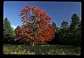02113-00107-Canaan Valley State Park.jpg