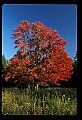 02113-00108-Canaan Valley State Park.jpg