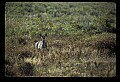 02113-00110-Canaan Valley State Park.jpg