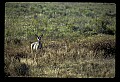 02113-00112-Canaan Valley State Park.jpg