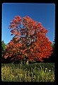 02113-00113-Canaan Valley State Park.jpg