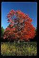 02113-00114-Canaan Valley State Park.jpg