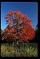 02113-00115-Canaan Valley State Park.jpg