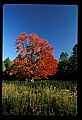 02113-00116-Canaan Valley State Park.jpg