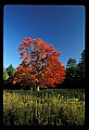02113-00117-Canaan Valley State Park.jpg