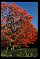 02113-00118-Canaan Valley State Park.jpg