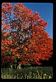 02113-00119-Canaan Valley State Park.jpg