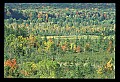 02113-00121-Canaan Valley State Park.jpg