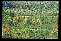 02113-00122-Canaan Valley State Park.jpg