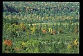 02113-00123-Canaan Valley State Park.jpg