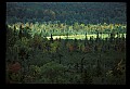 02113-00126-Canaan Valley State Park.jpg