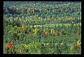 02113-00128-Canaan Valley State Park.jpg