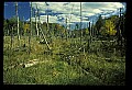 02113-00135-Canaan Valley State Park.jpg