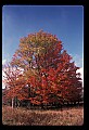 02113-00136-Canaan Valley State Park.jpg