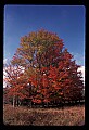 02113-00137-Canaan Valley State Park.jpg