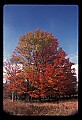 02113-00138-Canaan Valley State Park.jpg
