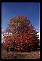 02113-00139-Canaan Valley State Park.jpg