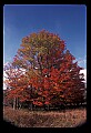 02113-00140-Canaan Valley State Park.jpg