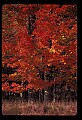02113-00142-Canaan Valley State Park.jpg