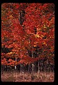 02113-00143-Canaan Valley State Park.jpg