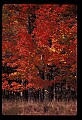 02113-00145-Canaan Valley State Park.jpg