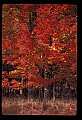 02113-00146-Canaan Valley State Park.jpg